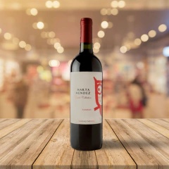 VINHO URUGUAIO MARTA MENDEZ TANNAT 750ML - comprar online