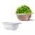 Escorredor de Alimentos Salada Macarrão Legumes Frutas Cozinha Restaurante Cesto 3 Litros Resistente