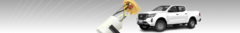 Banner de la categoría Modulo Bombas de Combustible Diesel - (Gasoil)