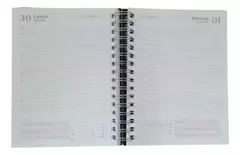 Agenda 2025 Diaria Kraft Onix - comprar online