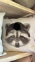 ALMOHADON FAMILY - BOSQUE - POLAR