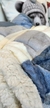 Manta c/corderito - comprar online