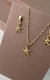 Conjunto estrela do mar