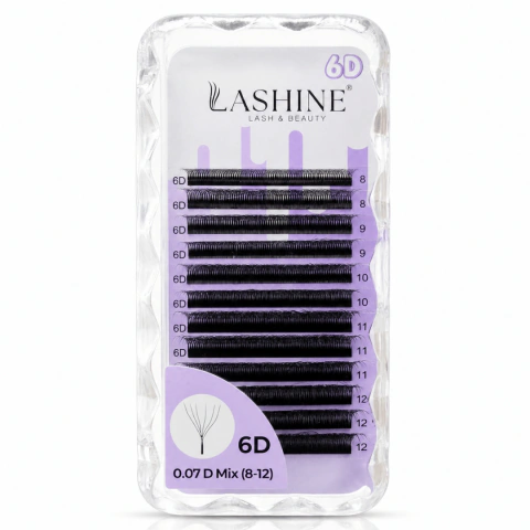 Lashine 6D Curvatura D