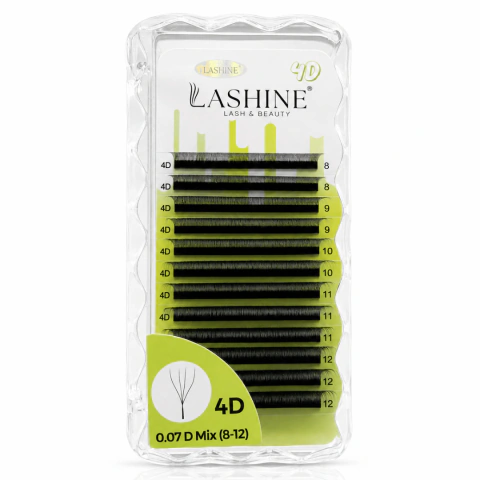Lashine 4D Curvatura D