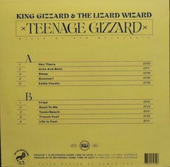 Lp King Gizzard & The Lizard Wizard Teenage Gizzard Edição Limitada Importado Lacrado - comprar online