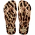 CHINELO FEMININO HAVAIANAS TOP ANIMALS ORIGINAL ALPARGATAS - comprar online
