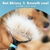 Profissional Pet Deshedding Escova - Pet Fast