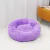 Caminha para gatos e cachorros na internet
