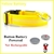 Recarregável LED coleira de cão brilhante - Pet Fast