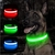 Recarregável LED coleira de cão brilhante na internet