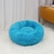 Caminha para gatos e cachorros na internet