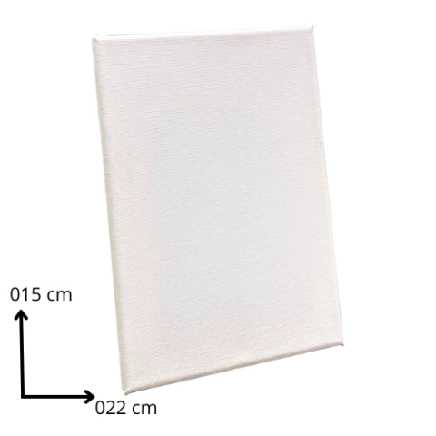 Imagem do TELA PARA PINTURA TAMANHOS SORTIDOS - STALO
