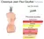 BRAND COLLETION 171 25ML (JEAN PAUL GAULTIER) - comprar online