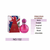 BRAND COLLETION 132 25ML (BRITNEY SPEARS) - comprar online