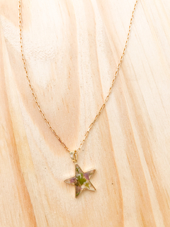 Colar (banho ouro) estrela Florida