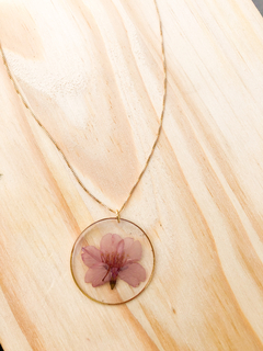 Colar (banho ouro) Sakura