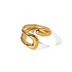 Anillo de Geometría Abierta