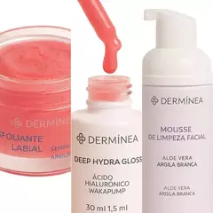 Kit Hydra Gloss Com Esfoliante Labial 3 un - Dermínea