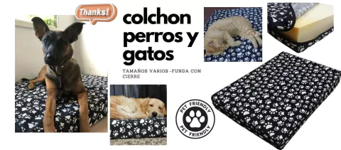 Carrusel PUPARAZZI Pet Store