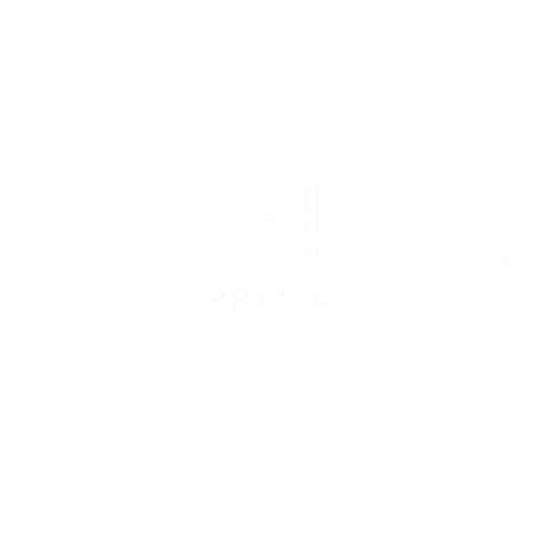 Zahir