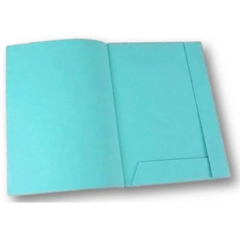 CARPETA CARTULINA A4 DOS SOLAPAS - comprar online