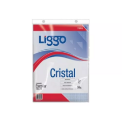 FOLLIOS LIGGO N3 X 10