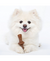 Tiny 2-pack Maple + Zaggler - Benebone - comprar online