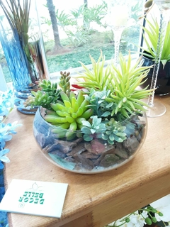 Vaso 6 Cactos