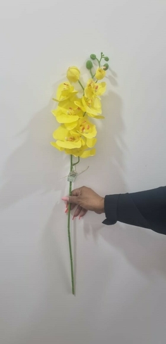 Haste de Orquíde
