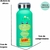 GARRAFA BUBBLE DINOSSAURO 500ML - ZONA CRIATIVA - VILAMIMOS - Presentes Criativos
