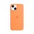 PW_256 - CAPINHA (CASE) SILICONE IPHONE 15 na internet