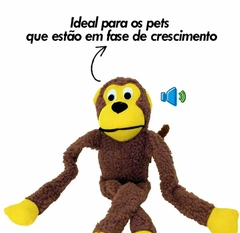 Brinquedo para cachorro