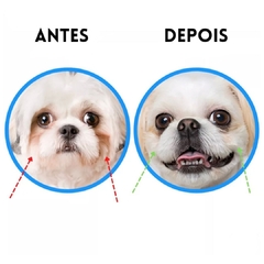 Removedor de lágrimas para cães e gatos na internet