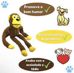 Brinquedo para cachorro na internet
