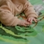 PlayMat Bolso en internet