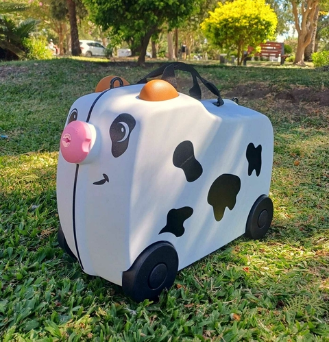 Carry on Vaquita
