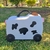 Carry on Vaquita en internet