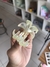 Imagem do Mini piranha lírio