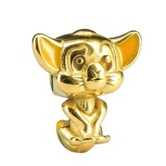 Charm Simba