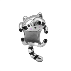 Charm mapache