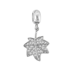 Charm otoño