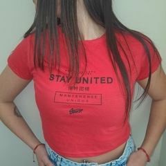 Imagen de remera algodon ultima en gris