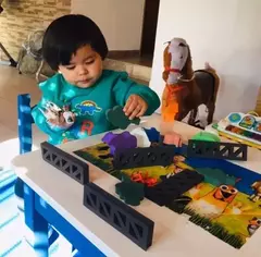 JUEGO GRANJA GOMA EVA
