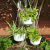 MATRI BOLS N18 - BOLS1801 - Tienda de Cultivo DR