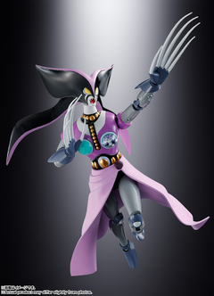 Soul of Chogokin GX-114 JANUS & GX-12R VENUS A