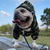 Imagem do Moletom Bape Baby Shark