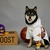 Moleton Corta Vento NBA Los Angeles Lakers - loja online
