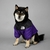 Jaqueta Bobojaco The Dog Fans - loja online