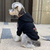 Moletom The north face + Gucci - loja online